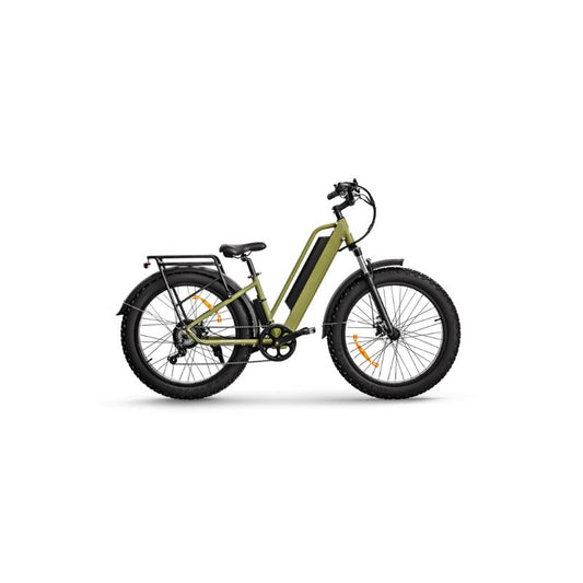 Haidong All-Terrain Tornado  Electric Bike Step-through Green